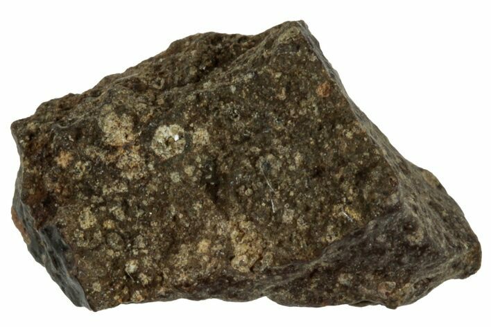 Abadla CM Chondrite Meteorite ( g) - Algeria #313087